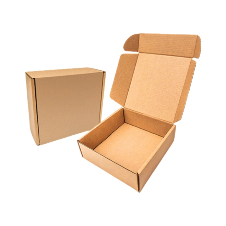Mailer Box 5 Cardboard Mailer
