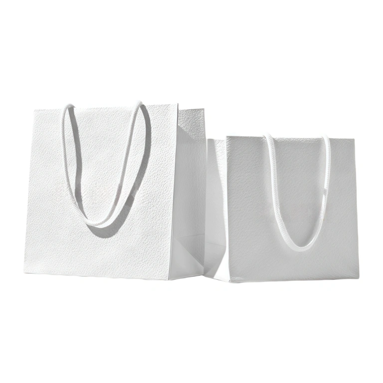 Handle Bag 6 White Handle Bag